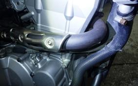 KAWASAKI KLX250D TRACKER X 2025 LX250V