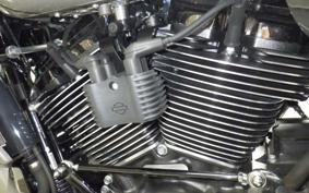 HARLEY FLTRXSE1980CVO 2024