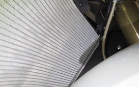 BMW S1000R M PACKAGE 2021