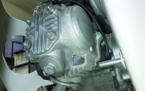 HONDA C50 SUPER CUB 1995 AA01