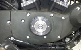 HARLEY XL883N 2010