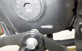 OTHER +ENFIELD ﾒﾃｵ350 2024