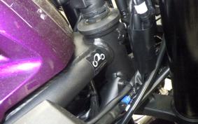 YAMAHA YZF R-3 2025 RH21J