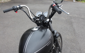 KAWASAKI W800 STREET 2020 EJ800B