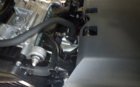 HONDA TACT Basket AF79