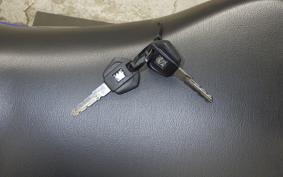 SUZUKI ｼﾞｸｻｰ250SF 2007 ED22B