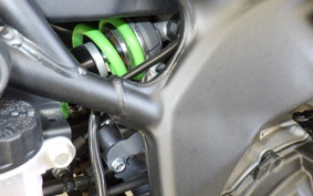 KAWASAKI ZX-4RR 2023