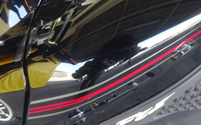 YAMAHA FZ1 FAZER 2009 RN17