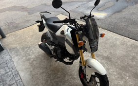 HONDA GROM JC61