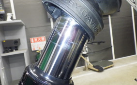 HARLEY FXBB1920 2025