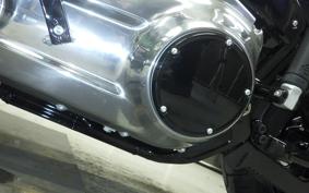 HARLEY FXBB1920 2025