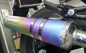 HONDA VTRF250 2018 MC33