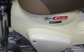 HONDA C110 SUPER CUB 2017 JA59