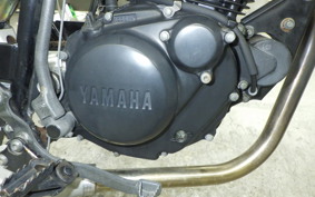 YAMAHA TW200 2025 DG07J