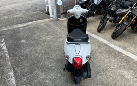 HONDA GIORNO AF70
