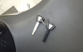 KAWASAKI NINJA 250 EX250P