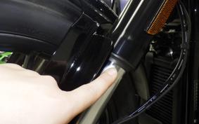 HARLEY FXLRS1920 2025