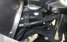 KAWASAKI VERSYS-X 250 A 2024 LE250D