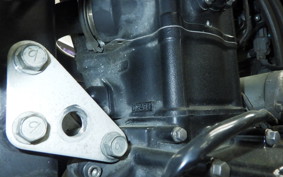 KAWASAKI KLX250D TRACKER X 2016 LX250V