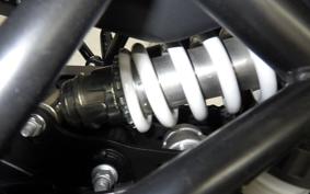 OTHER +ENFIELD ﾋﾏﾗﾔﾝ450 2025