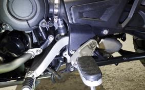 TRIUMPH TIGER 1200 RALLY EX 2023