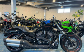 HARLEY VRSCDX1250 2009 HHH