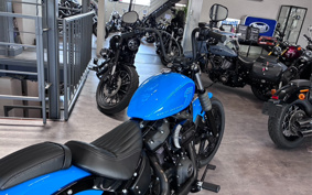 HARLEY FXBBS 2022 YYK