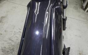YAMAHA TRICKER DG10J