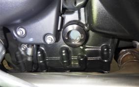 TRIUMPH BONNEVILLE T100 2024