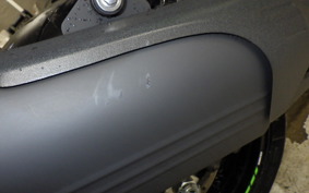 KAWASAKI NINJA ZX-6R A 2025 ZX636J