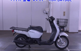 OTHER  BENLY 110 PRO 