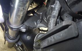 KAWASAKI Z250