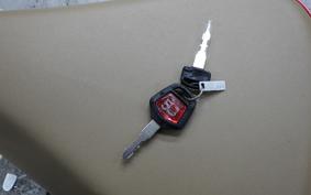 HONDA C110 SUPER CUB