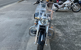 HARLEY HARLEY FLD 2014 GZ4