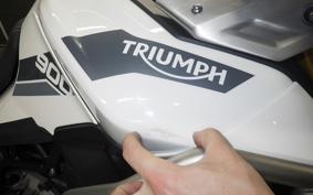 TRIUMPH TIGER 900 RALLY PRO 2022