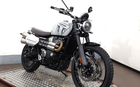 TRIUMPH SCRAMBLER 1200X 2024 DADR0H