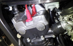 HONDA HORNET 250 2026 MC31