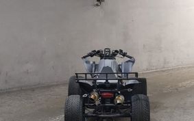 OTHER  BUGGY 110CC ..