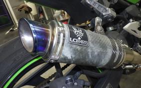 KAWASAKI NINJA 250 EX250P