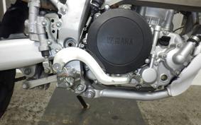 YAMAHA WR250R 2024 DG15J