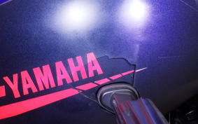 YAMAHA YZF-R3 2023 RH21J