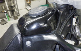 KAWASAKI KLX250D TRACKER 2025 LX250E