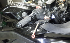 YAMAHA YZF-R25 A 2009 RG43J