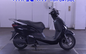 OTHER  LEAD 110EX