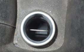 YAMAHA MAXAM 250 SG21J