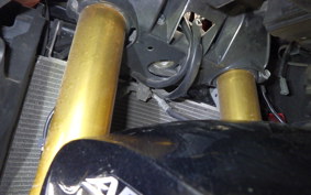 SUZUKI GSX-S1000F 2015 GT79A