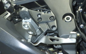 KAWASAKI NINJA 1000SX 2020 ZXT02K