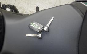 KAWASAKI NINJA 1000 SX 2024 ZXT02K