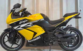 KAWASAKI NINJA 250R EX250K