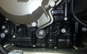 HUSQVARNA NORDEN901 2022